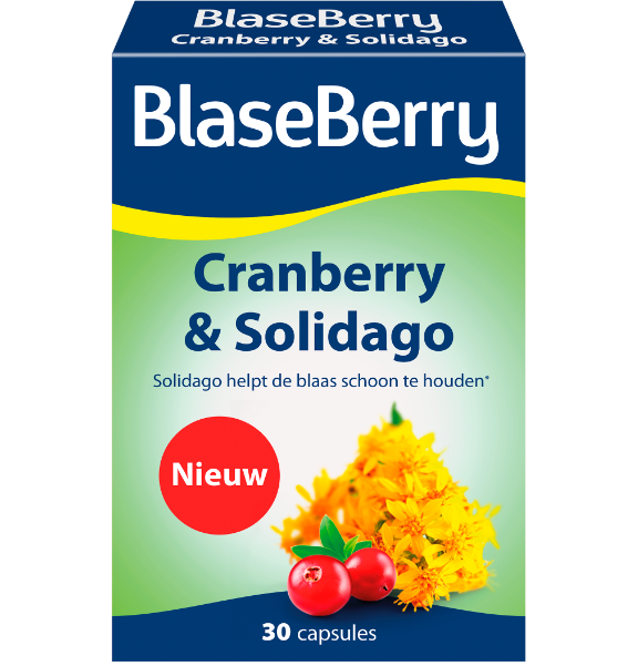 Cranberry&SolidagoImage-1618836024.png