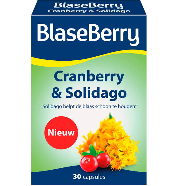 Cranberry&SolidagoImage-1618836373.png