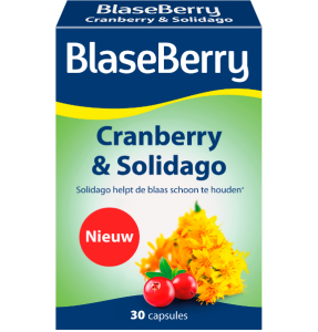 Cranberry-Solidago.png